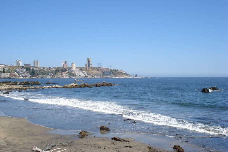 Excursión a Valparaíso y Viña del Mar