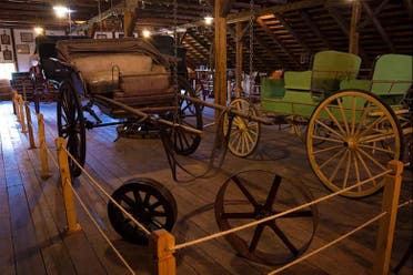 Tour privado por Puerto Varas, Nueva Braunau y Lahuen adi