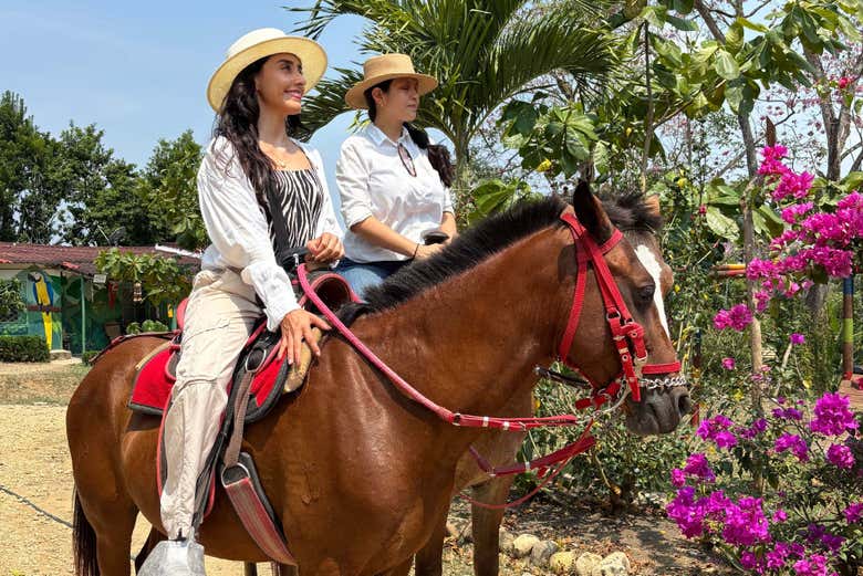 Visita a la reserva Fundación Loros + Paseo en 4x4, quad o caballo