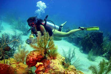 Bautismo de buceo en Cartagena