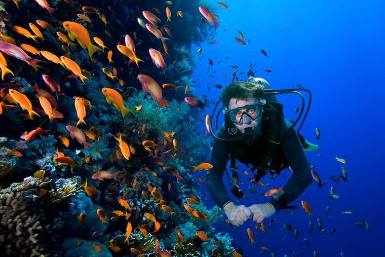 Bautismo de buceo en Cartagena