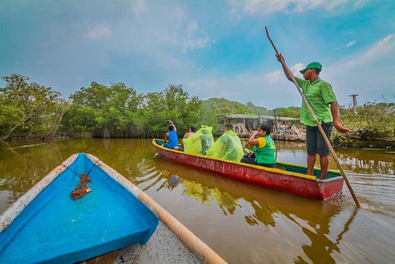 Tour por los manglares de Cartagena