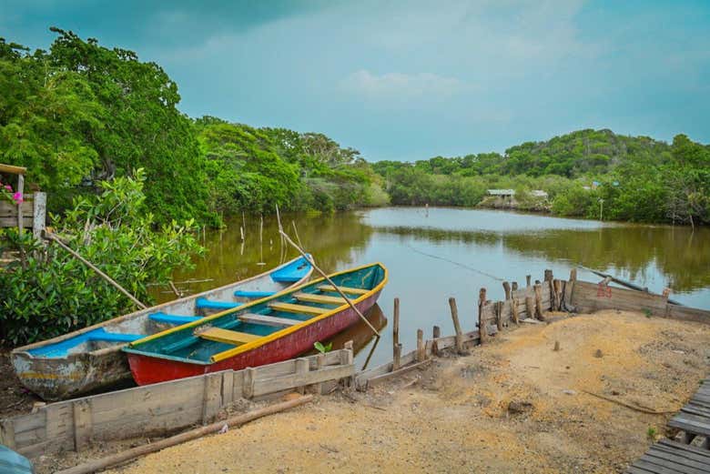 Tour por los manglares de Cartagena