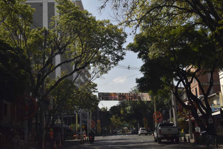 Free tour por Los Laureles
