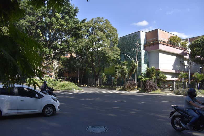 Free tour por Los Laureles