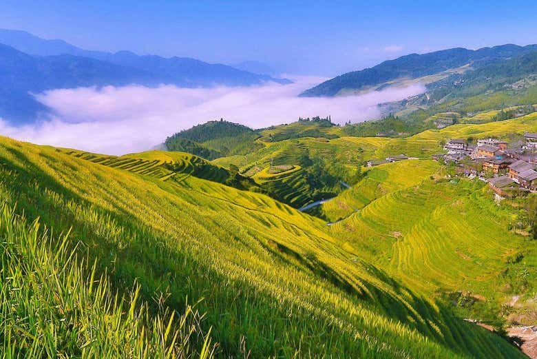 Excursión a las terrazas de arroz y aldeas de Longji