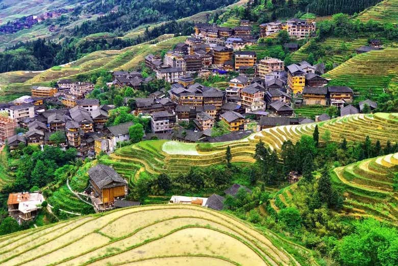 Excursión a las terrazas de arroz y aldeas de Longji