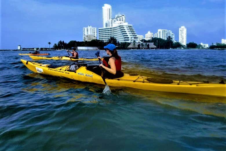 Tour en kayak por Punta Arena