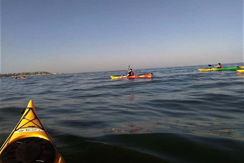 Tour en kayak por Punta Arena