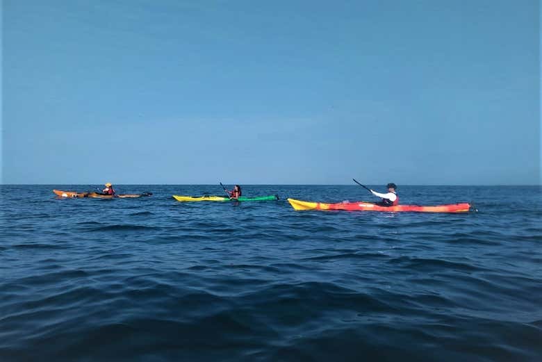 Tour en kayak por Punta Arena