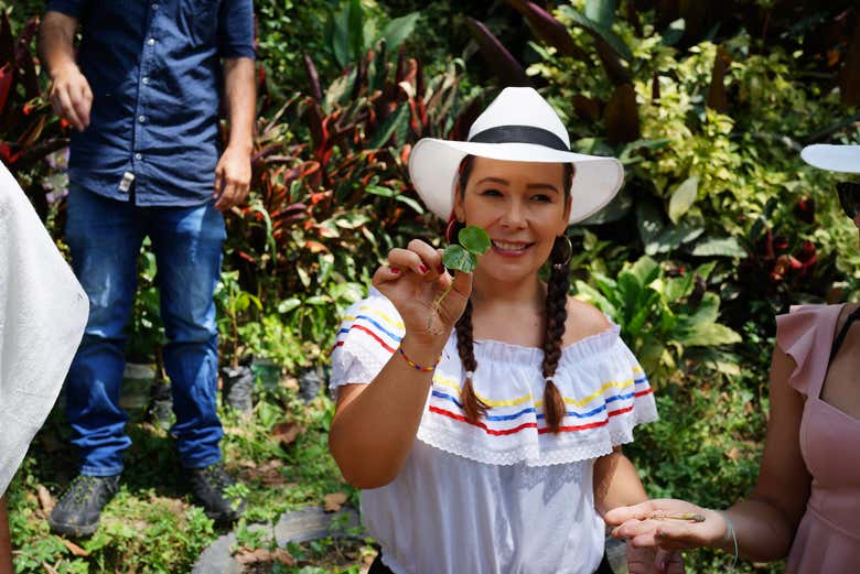 Tour del café por Medellín
