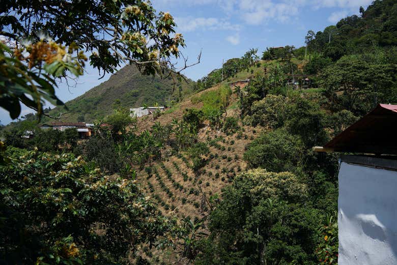 Tour del café por Medellín