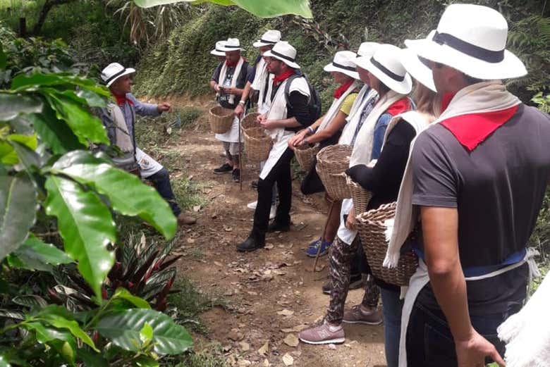 Tour del café por Medellín