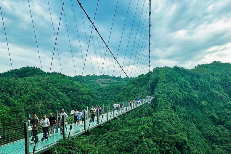 Excursión privada al Mar de Bambú de Sichuan y Pingle