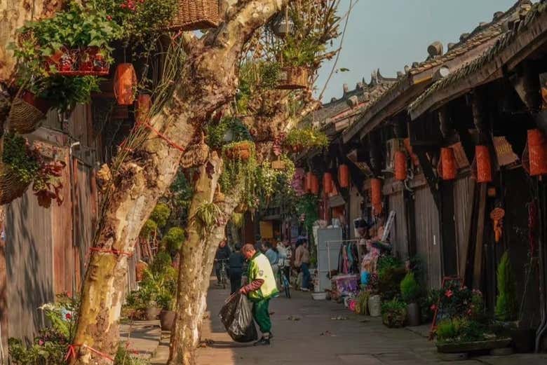 Excursión privada al Mar de Bambú de Sichuan y Pingle