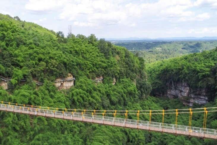 Excursión privada al Mar de Bambú de Sichuan y Pingle