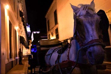 Paseo en calesa por Cartagena de Indias