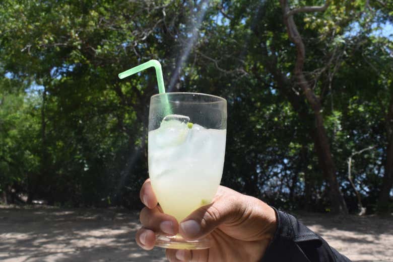 Excursión a las islas del Rosario