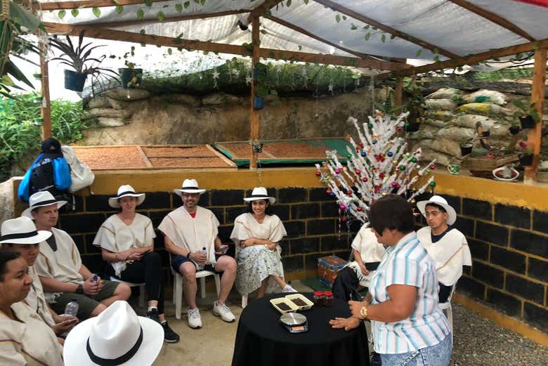 Visita a una finca de café en el barrio La Sierra