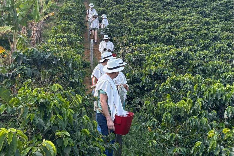 Visita a una finca de café en el barrio La Sierra