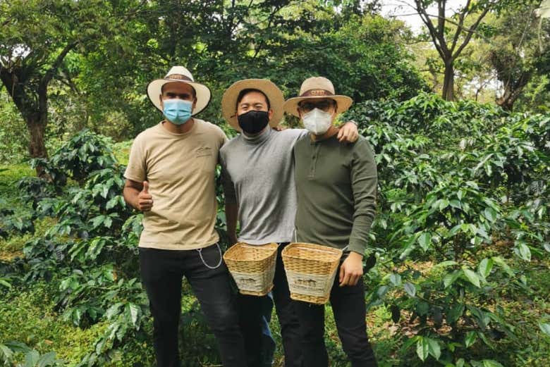 Tour del café por Cundinamarca