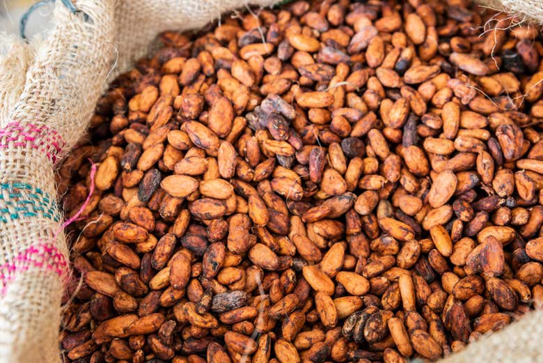 Taller de chocolate en Cartagena de Indias