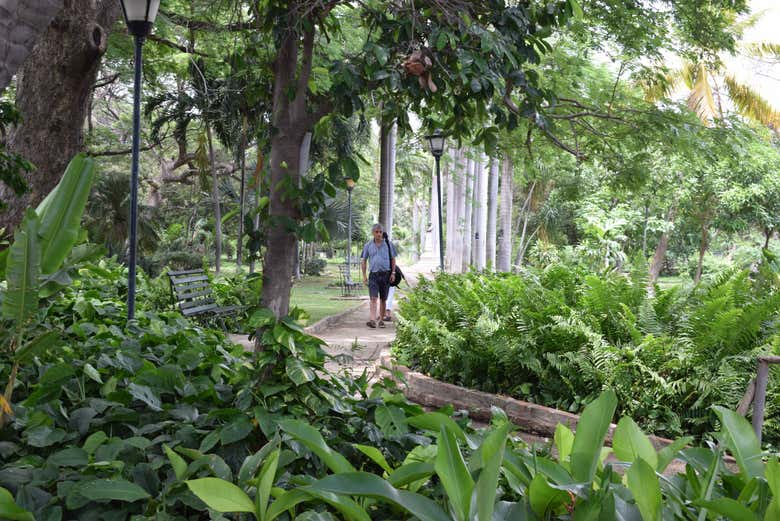 Excursión a Santa Marta y Barranquilla