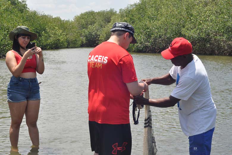 Excursión al volcán del Totumo y manglares de Cartagena