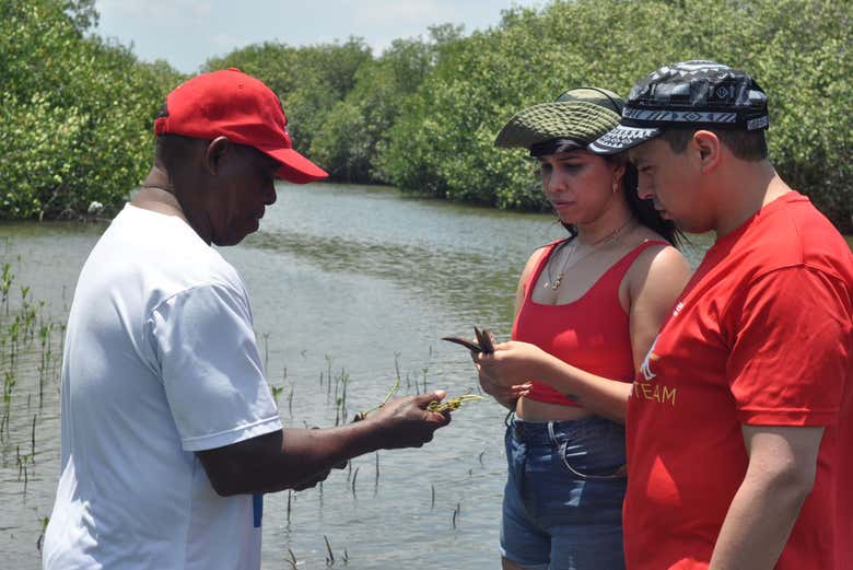 Excursión al volcán del Totumo y manglares de Cartagena