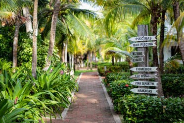 Excursin a la Isla de Cocoliso