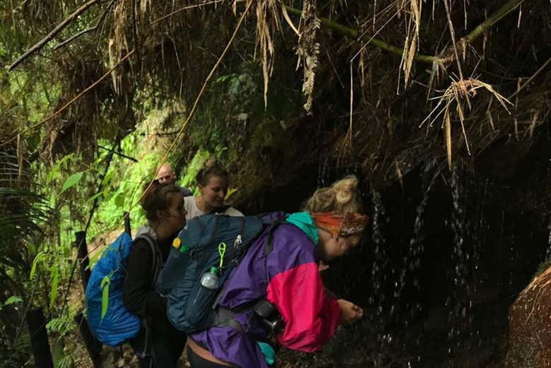Trekking por el Parque Aventura La Chorrera