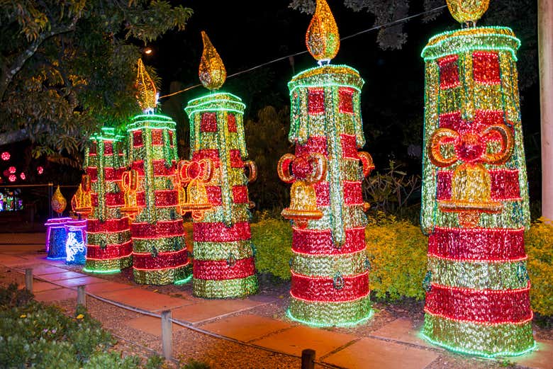 Tour navideño por Medellín