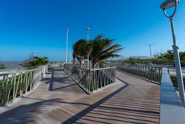 Excursión a Barranquilla