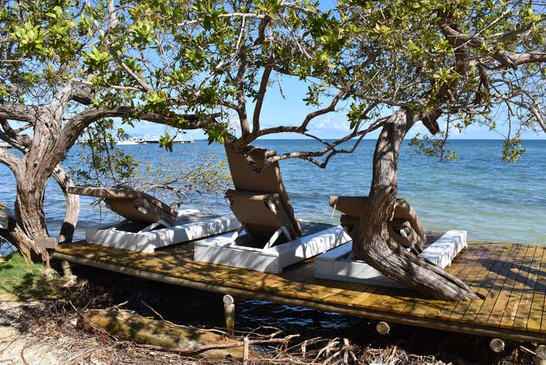 Excursión a la isla Palma
