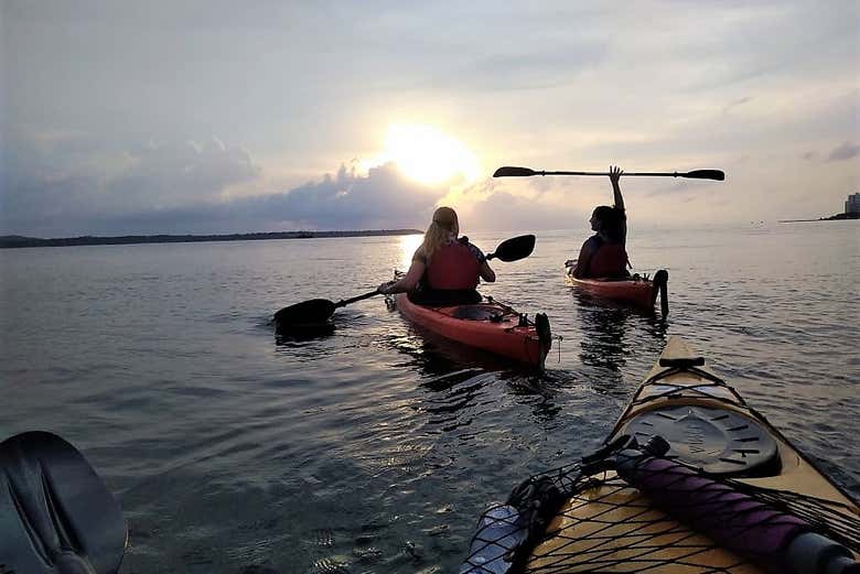 Tour en kayak por Cartagena