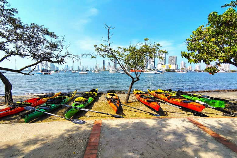 Tour en kayak por Cartagena