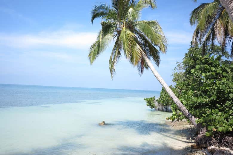Excursión a la Isla del Encanto