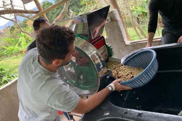 Excursin a los cafetales colombianos