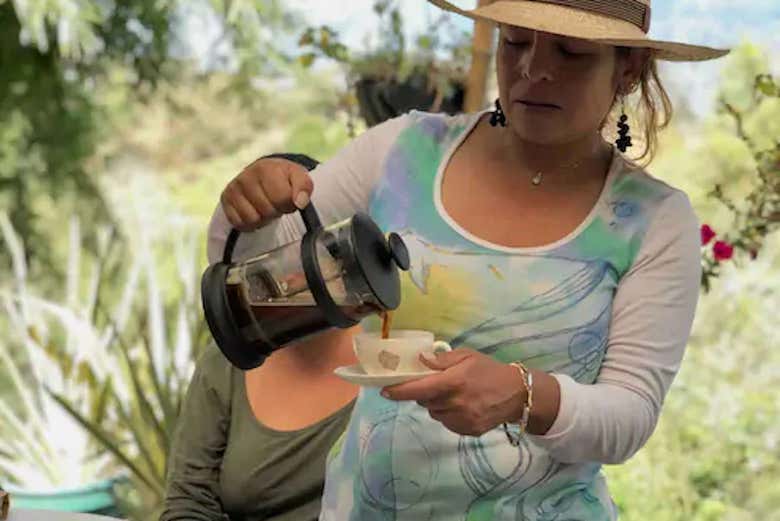 Excursión a los cafetales colombianos