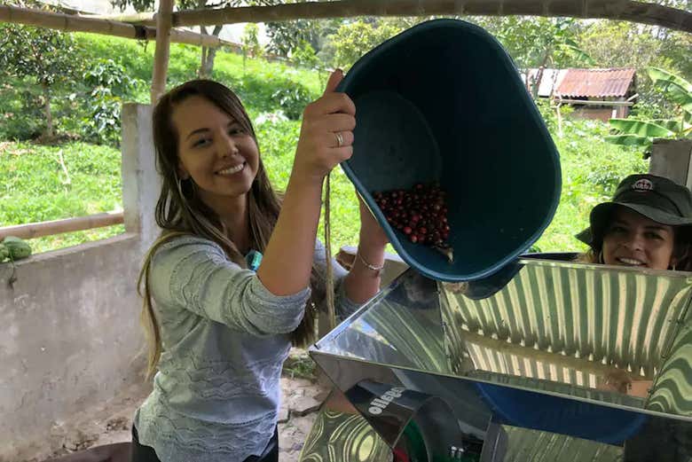 Excursión a los cafetales colombianos