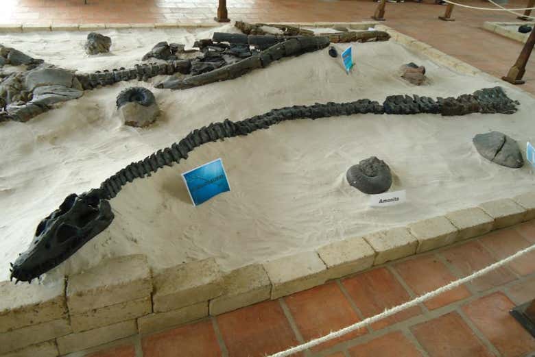 Excursión a Villa de Leyva