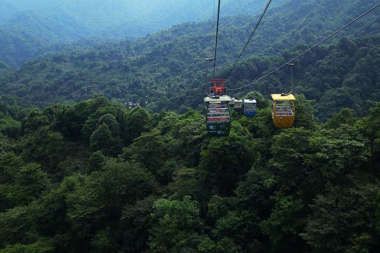 Excursión privada al monte Qingcheng y Dujiangyan