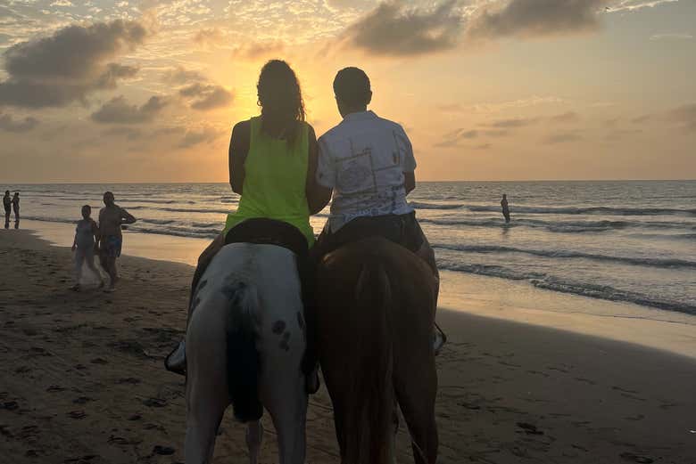 Paseo a caballo por la playa al atardecer + Cena