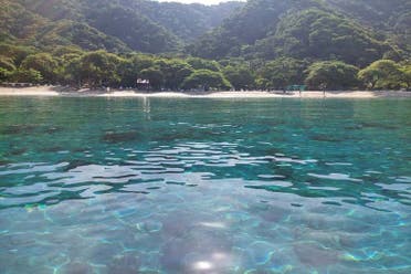 Excursin al Parque Tayrona