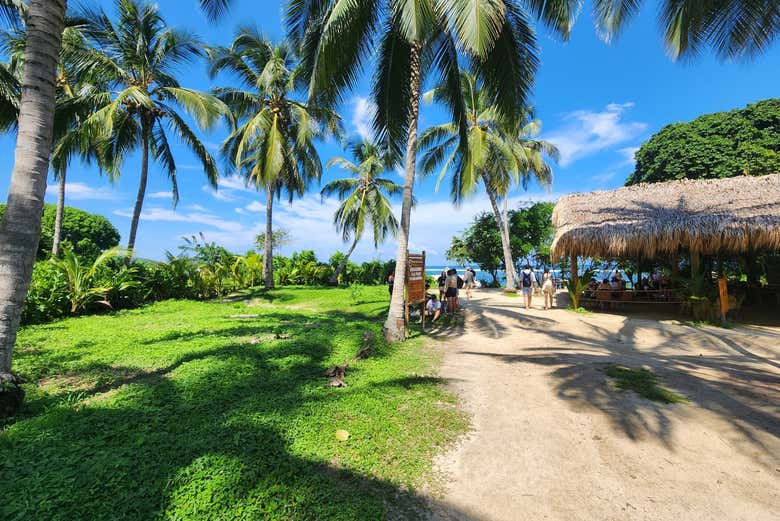 Excursión al Parque Tayrona