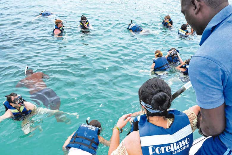 Excursión a la Isla Cholón