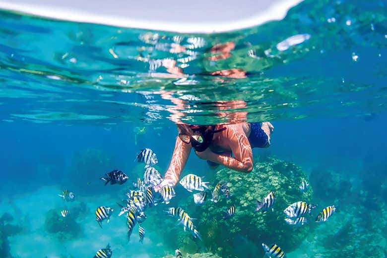 Excursión a la Isla Cholón
