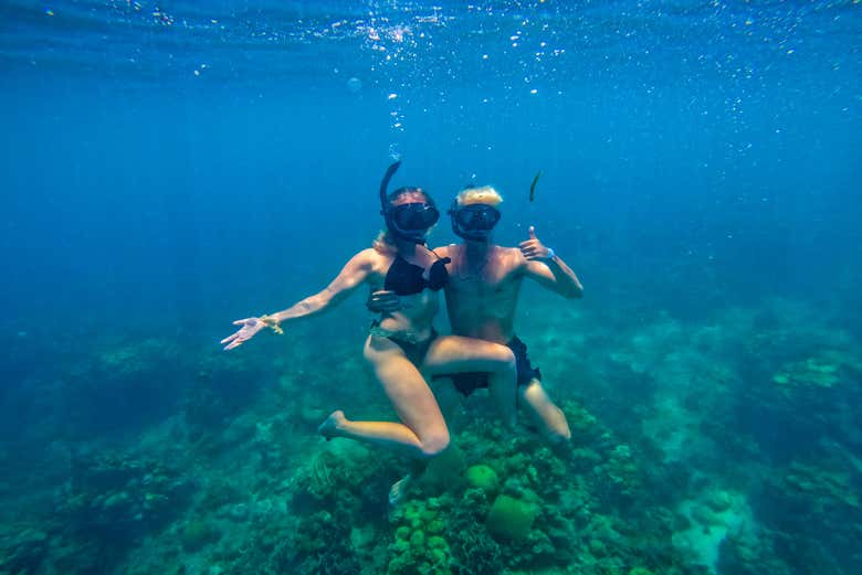 Snorkel en la península de Barú