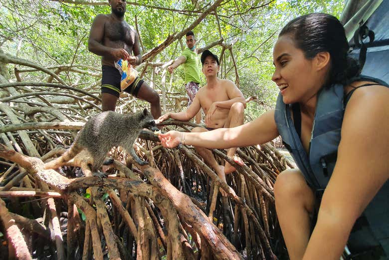 Snorkel en la península de Barú