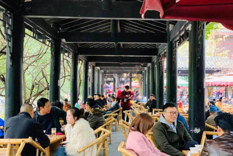 Visita guiada por Chengdú